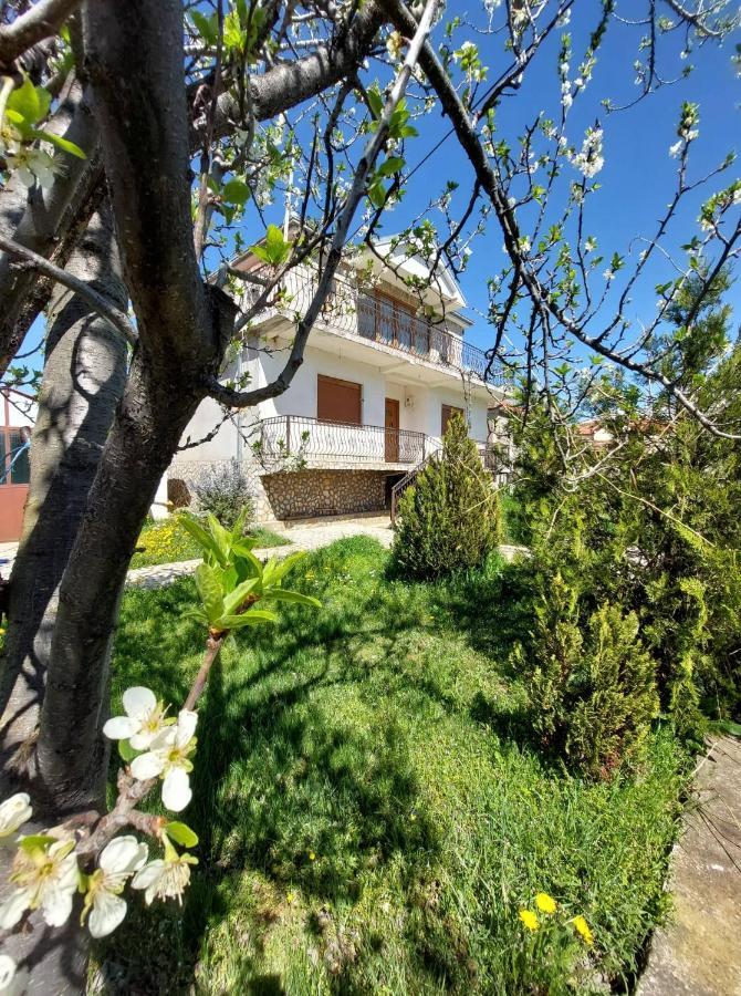 Prespa'S Balcony Guesthouse Dolna Gorica Extérieur photo